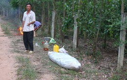 Hãi hùng phát hiện xác chết phân hủy trong vườn tràm