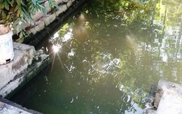 Mẹ ngất lịm nhìn xác con gái 2 tuổi dưới ao