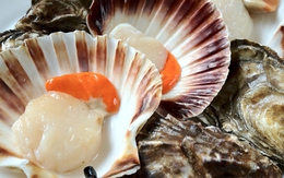 Mẹo chọn mua và làm sạch bùn cát ở ngao sò ốc hến