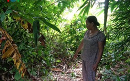 Bé gái sơ sinh bị bỏ rơi, thân thể bám đầy dòi