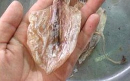 5.000 đồng/con mực nhỏ bằng 3 đầu ngón tay ở Hà Nội