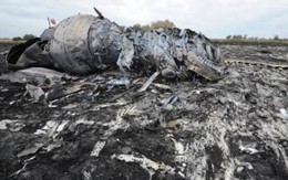Trùng hợp lạ kỳ về con số 7 trong thảm kịch MH17