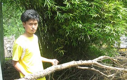 Cậu học trò lớp 7 mang án hiếp dâm oan gần 6 năm