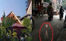 Sự thật về "Người ngoài hành tinh ghé thăm Hà Nội"