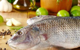 Mẹo giữ cá tươi lâu không cần tủ lạnh