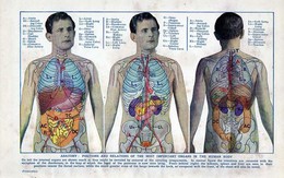 Mỡ thừa gây hại cho cơ thể như thế nào?