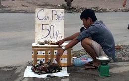 Cua biển nằm ngửa 50.000 đồng/con tràn vỉa hè Hà Nội