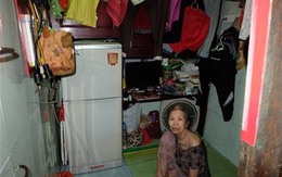 Dân phố cổ sống khổ nhưng hái ra... 'đô'