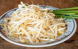 6 lý do nên ăn giá đỗ thường xuyên