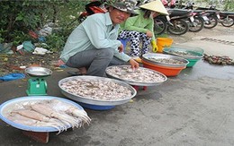 Mực to như quyển vở giá 40 ngàn/kg trên vỉa hè