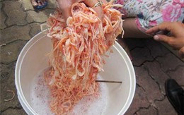 Những thực phẩm giả đang khiến người dùng rùng mình