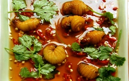 Những đặc sản "sởn gai ốc" ở miền Tây