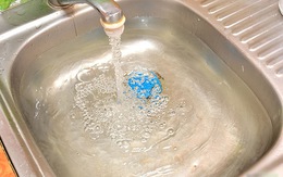 Cách giữ rau xà lách tươi lâu