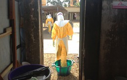 Dịch Ebola bắt nguồn từ một bé trai 2 tuổi