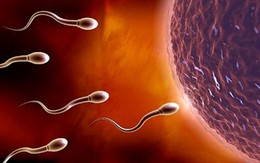 Dấu hiệu sớm báo chồng bạn vô sinh