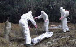 5 loại virus tử thần còn kinh sợ hơn virus Ebola