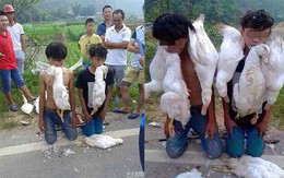 Trộm "tởn đến già" vì ăn trộm vịt phải ngậm vịt chặt trong mồm
