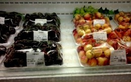 Dân sành rủ nhau ăn cherry ngoại