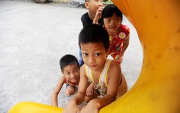 Chùa Bồ Đề, vì 'đời' mà tội tình cho 'đạo'