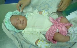 Bé trai 10 ngày tuổi bị bỏ lăn lóc bên gốc cây