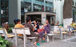 "Ô sin bệnh viện" hốt bạc trong mùa dịch bệnh
