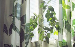 Chọn rèm cửa độc đáo cho không gian sống