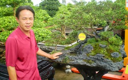 Thợ bạc miền Tây chơi kiểng ‘độc’ hái tiền tỷ