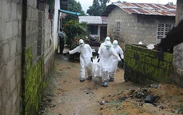 Chôn cất bệnh nhân Ebola: Công việc nguy hiểm chết người