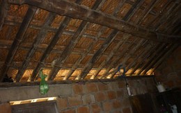 Chuyện cụ ông 70 tuổi có 2 vợ, 7 con treo cổ tự tử trong cô độc