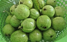 3 món ngon dân dã vùng quê lúa Thái Bình