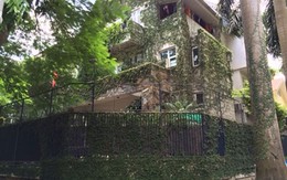 Hà Nội: Rộ mốt “ngụy trang” biệt thự tiền tỉ bằng dây leo