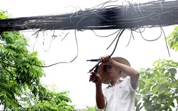 Đứt dây điện hạ thế, đôi vợ chồng ở Hà Nội thiệt mạng