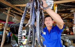 Những chợ đặc biệt chỉ có trong mùa lũ