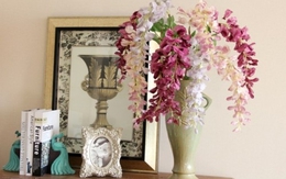 Mẹo chơi hoa được lâu