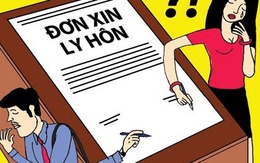 "Em ký đơn đi để anh lấy vợ hai"