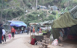 Người dân bản Co Có kêu cứu