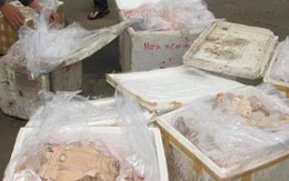 300 kg thịt bò thối suýt vào bụng thực khách