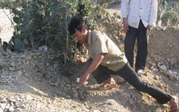 Chồng tìm thấy xác vợ vùi bên đường