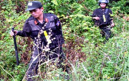 Hàng trăm cảnh sát vây bắt tội phạm truy nã