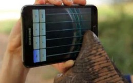 Samsung – Apple: Không thể so sánh! 