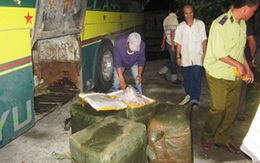 Bắt giữ xe khách chở mỡ lợn thối