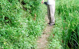 Nghi án nữ chánh án ở Hà Nam bị sát hại