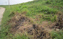 Hà Nội: Tự thiêu vì tình