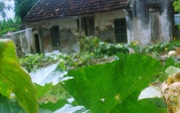 Án mạng đau lòng sau đêm tân hôn