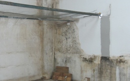 Tiếp bài Chèn ép người thuê quầy kiểu “chợ trời”: Nên xem lại việc cấp phép