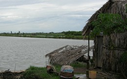 Cụ ông làm thiếu nữ mang bầu