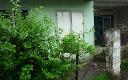 Thua độ bóng đá, giết bạn cướp tài sản 