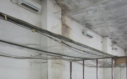 Ôm thuốc chạy trời mưa