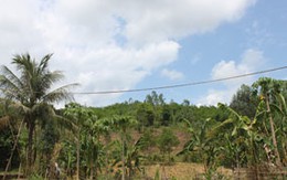 Biến nương rẫy thành rừng, dân đói