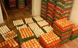 Buôn trứng vịt, lãi 15 triệu đồng/tháng